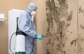 Best Mold Remediation for Healthcare Facilities in Burlington, WI